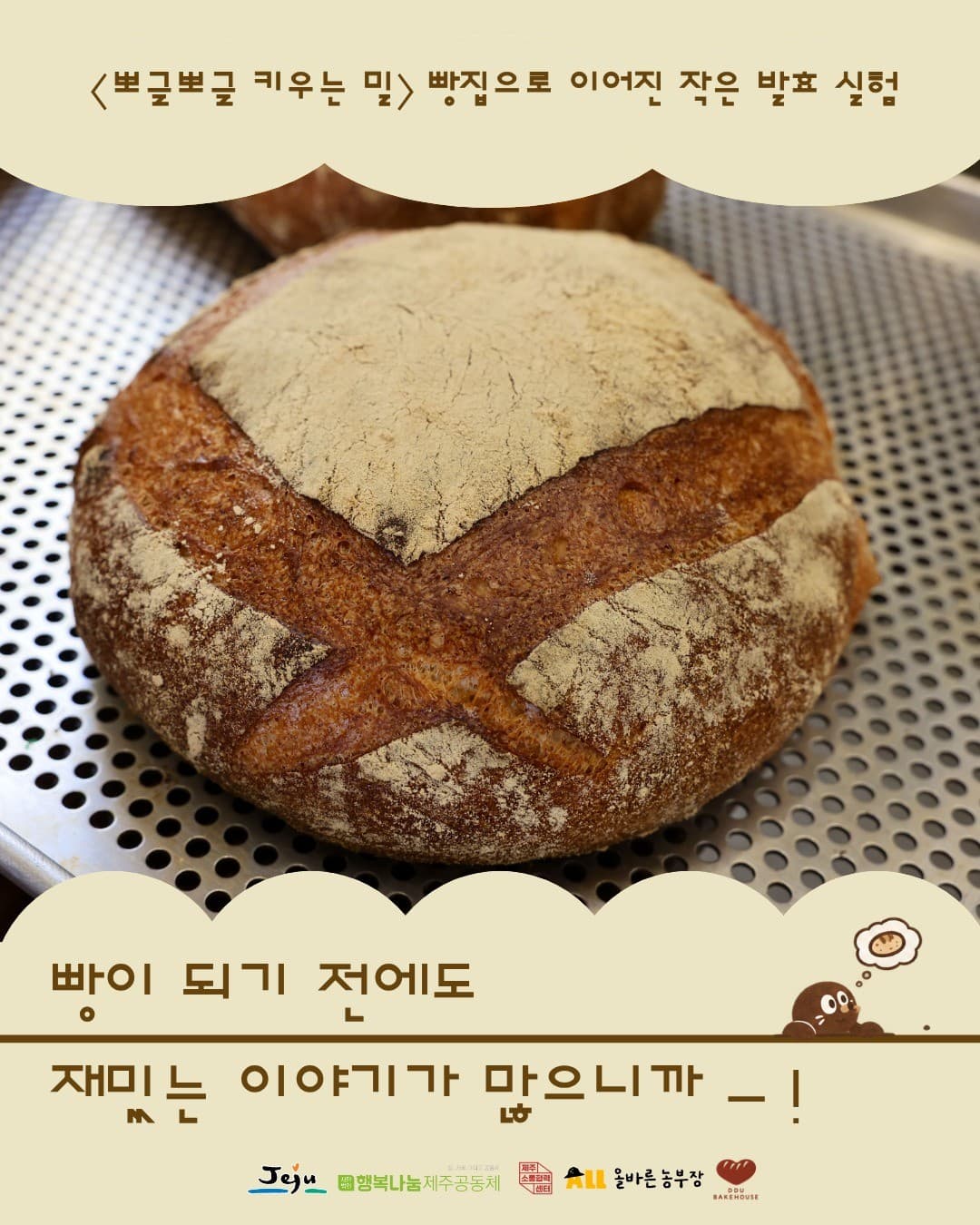 [🫧뽀글뽀글 키우는 밀🫧] 빵집으로 이어진 작은 발효 실험