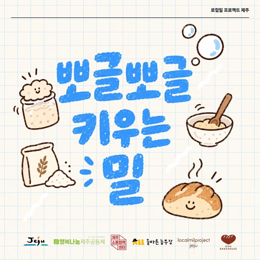 [로컬밀 프로젝트 제주] 뽀글뽀글 키우는 밀